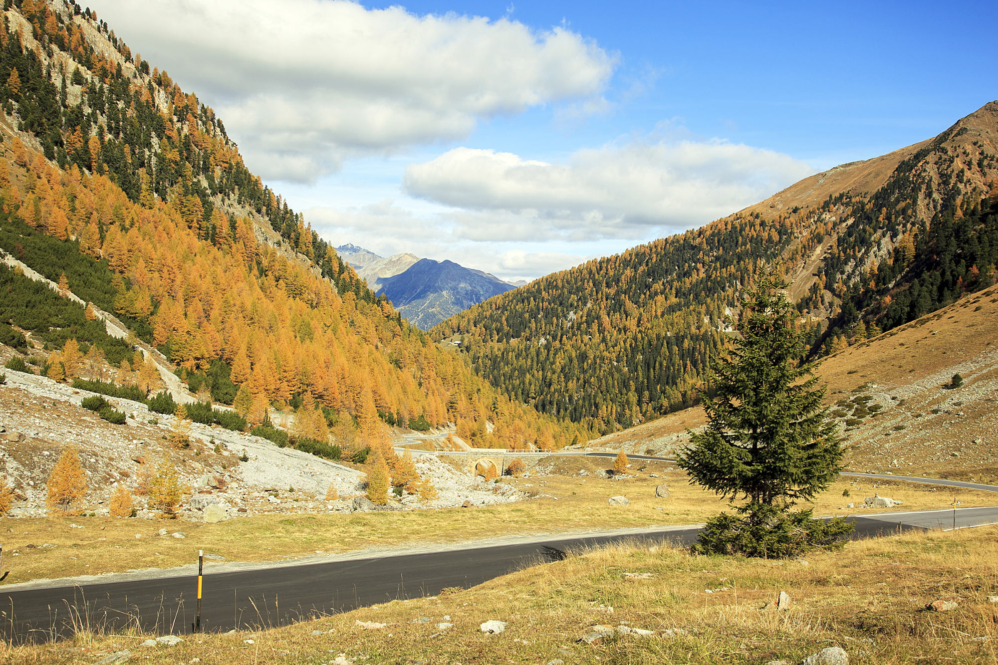 Stelvio Pass